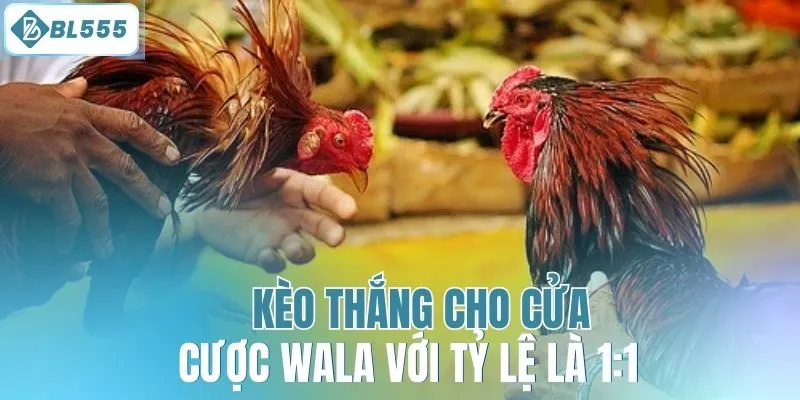 Kèo thắng cho cửa cược Wala với tỷ lệ là 1:1