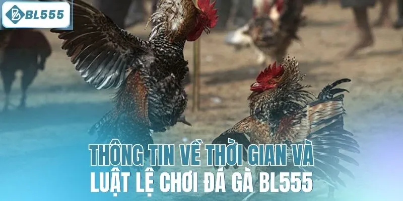 Thông tin về thời gian và luật lệ chơi đá gà BL555