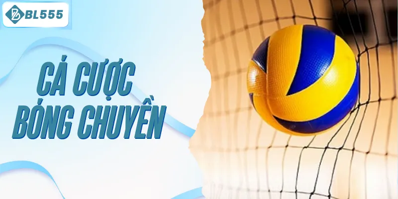 Cá cược bóng chuyền