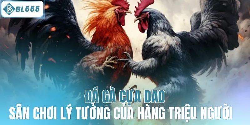 Đá gà cựa dao - Sân chơi lý tưởng của hàng triệu người