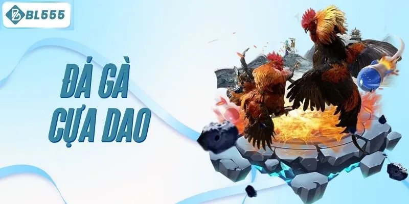 đá gà cựa dao