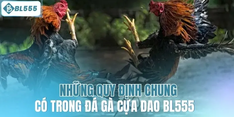 Những quy định chung có trong đá gà cựa dao BL555