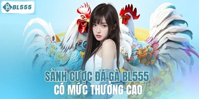 Sảnh cược đá gà BL555 có mức thưởng cao