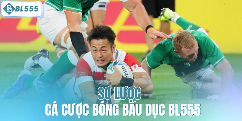 Sơ lược cá cược bóng bầu dục BL555