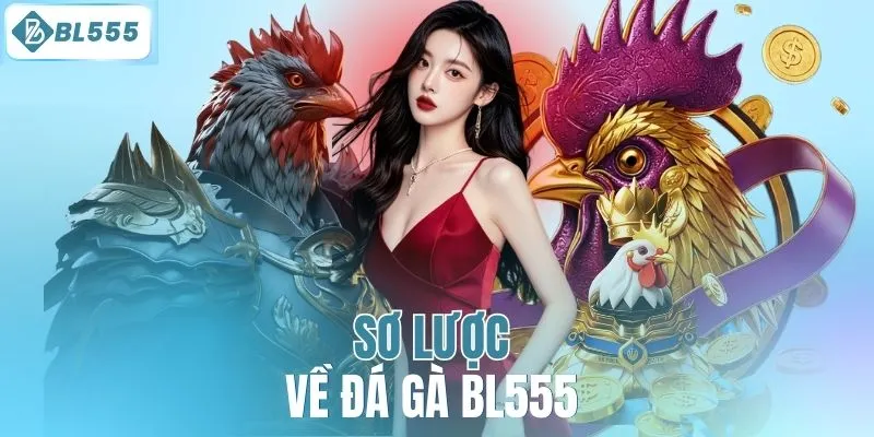 Sơ lược về đá gà BL555