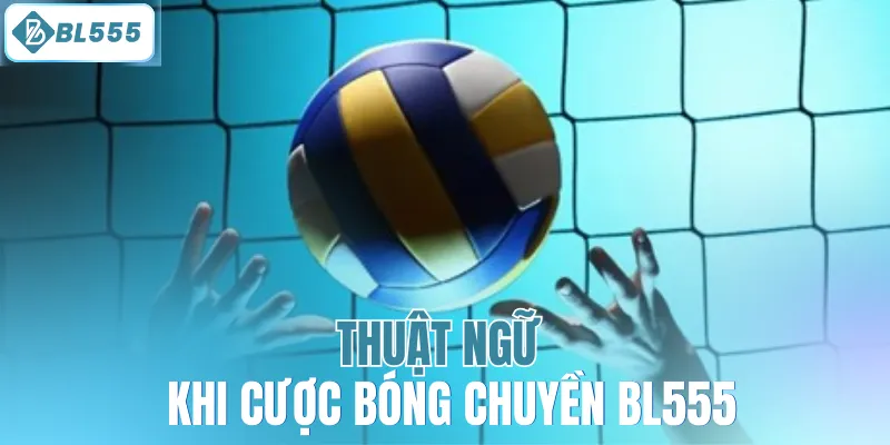Thuật ngữ khi cược bóng chuyền BL555